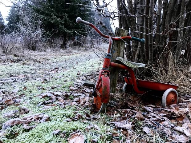 26772507_10156008948877603_193921916_o