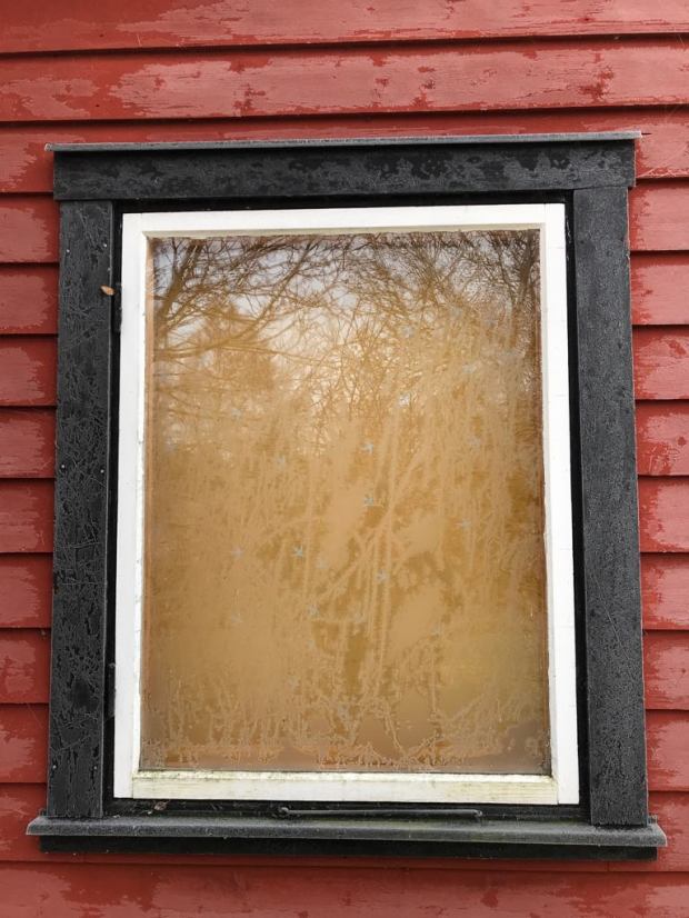 26781756_10156010119197603_102482959_o