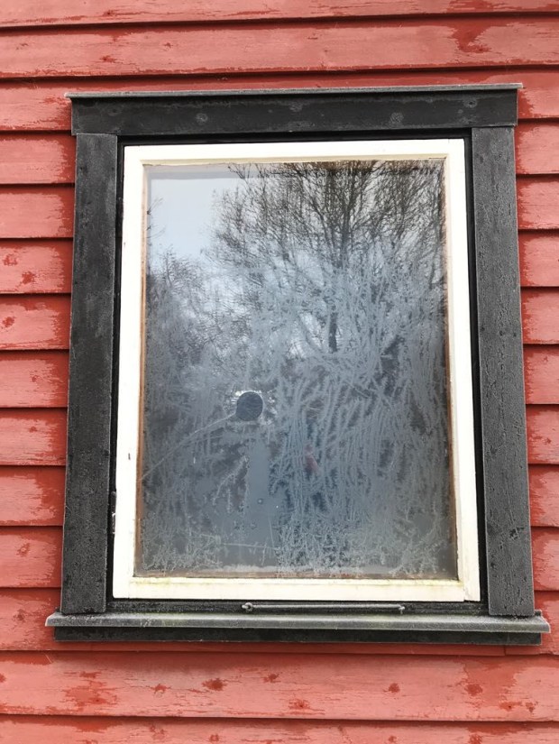 26852945_10156010118992603_1599776251_o