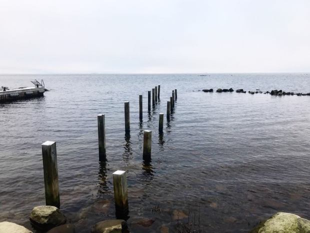 26853446_10156010092977603_79920643_o