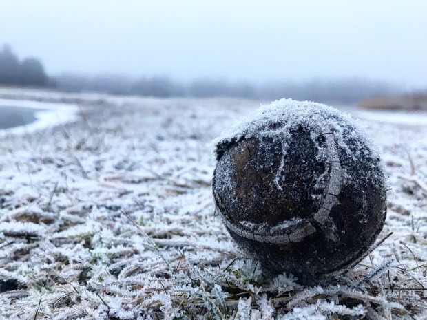 26854611_10156010068227603_582859470_o