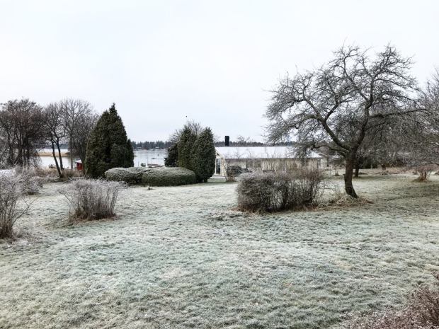 26855023_10156010118102603_1272598689_o